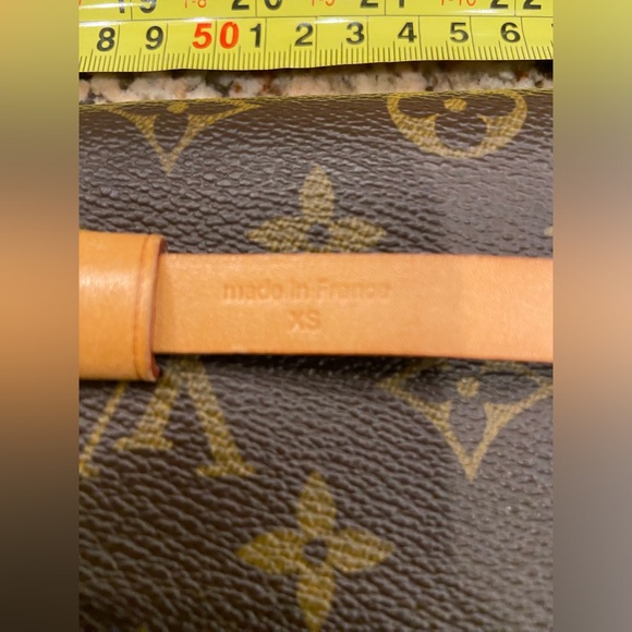 Louis Vuitton Florentine Belt Bag - Picture 11 of 16
